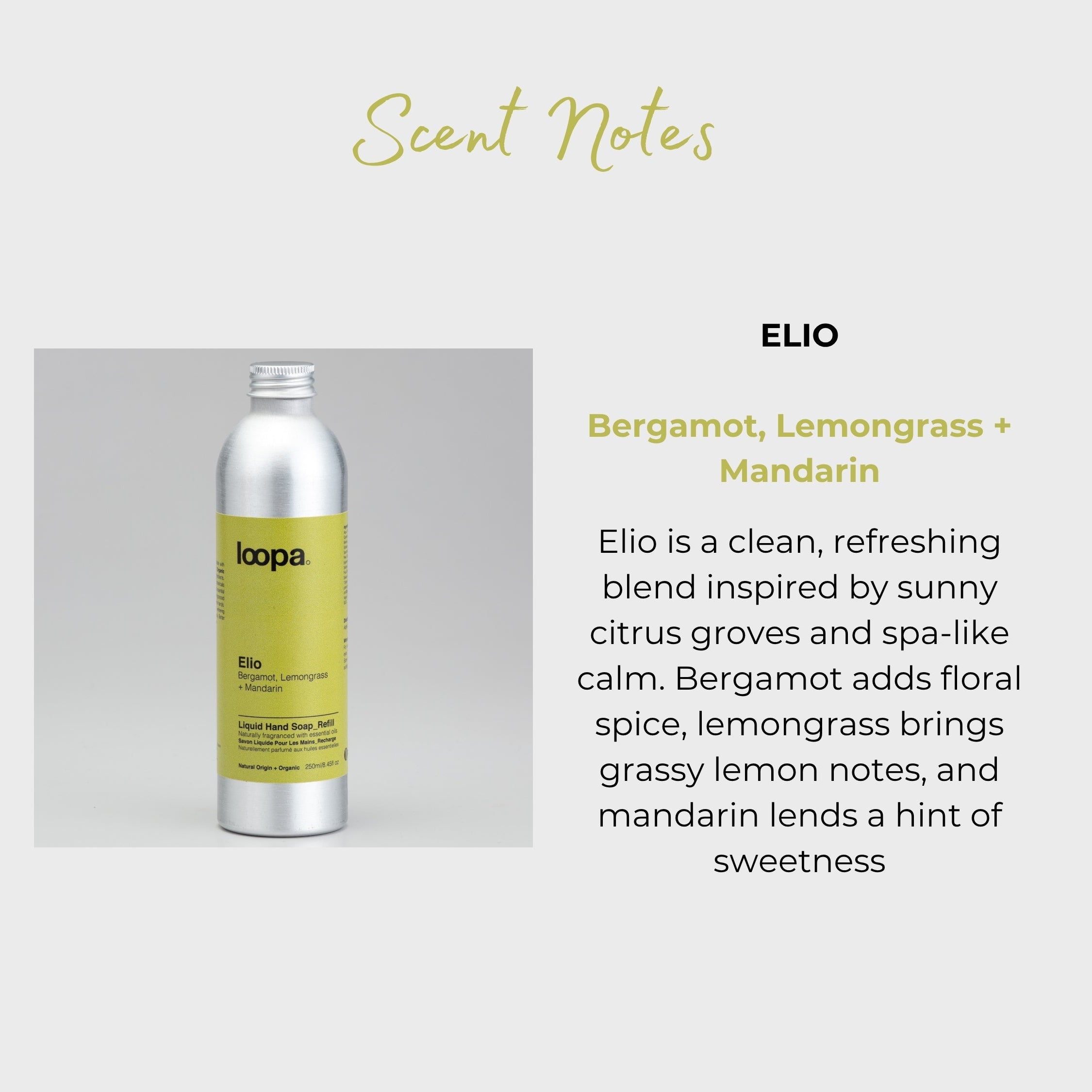 Loopy shampoo bottle with Elio scent description on a light gray background