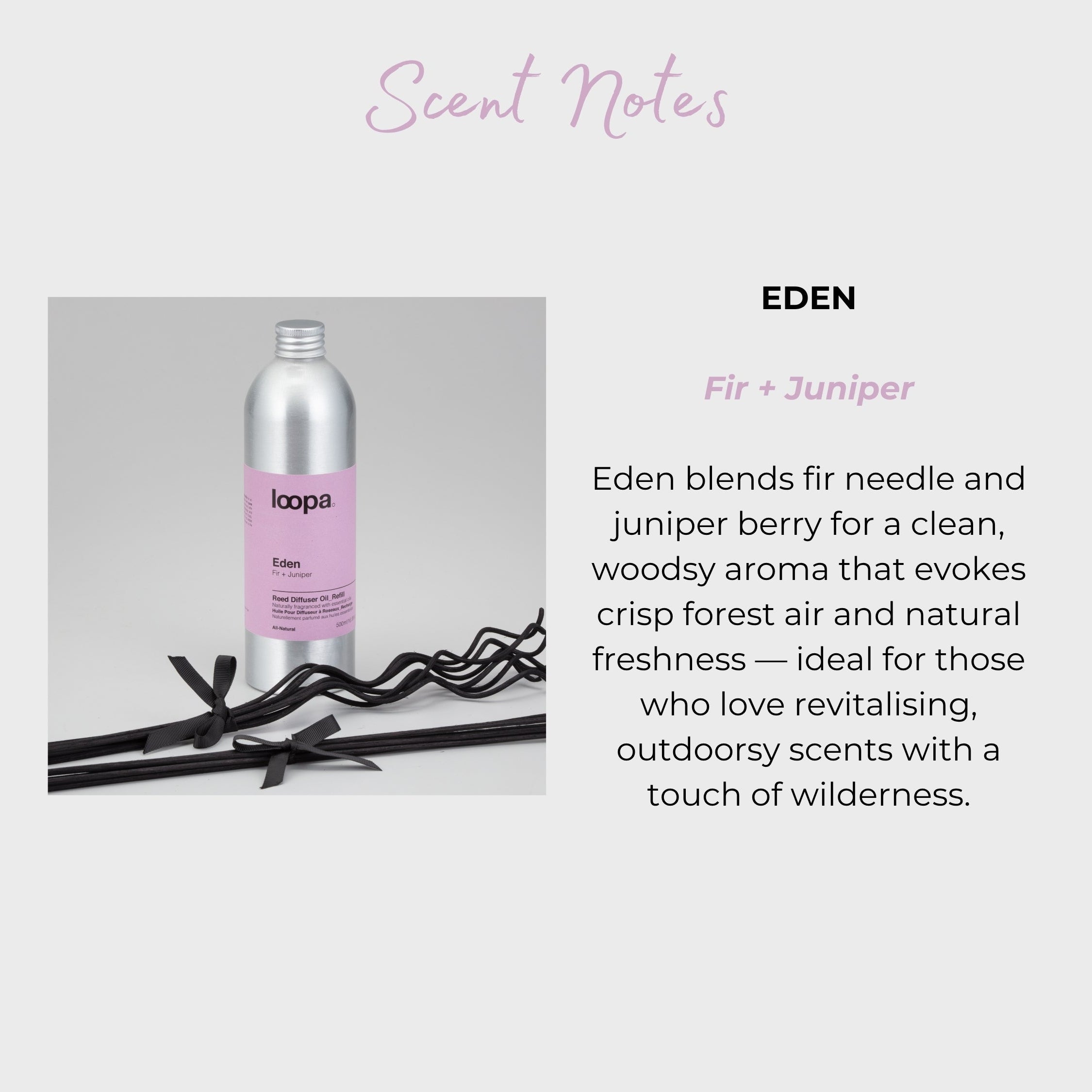 Eden fir and juniper diffuser refill bottle with black reeds displayed beside scent-notes text. Showcases a fresh forest-inspired essential oil blend ideal for natural home fragrance lovers wanting clean, outdoorsy aromas.
