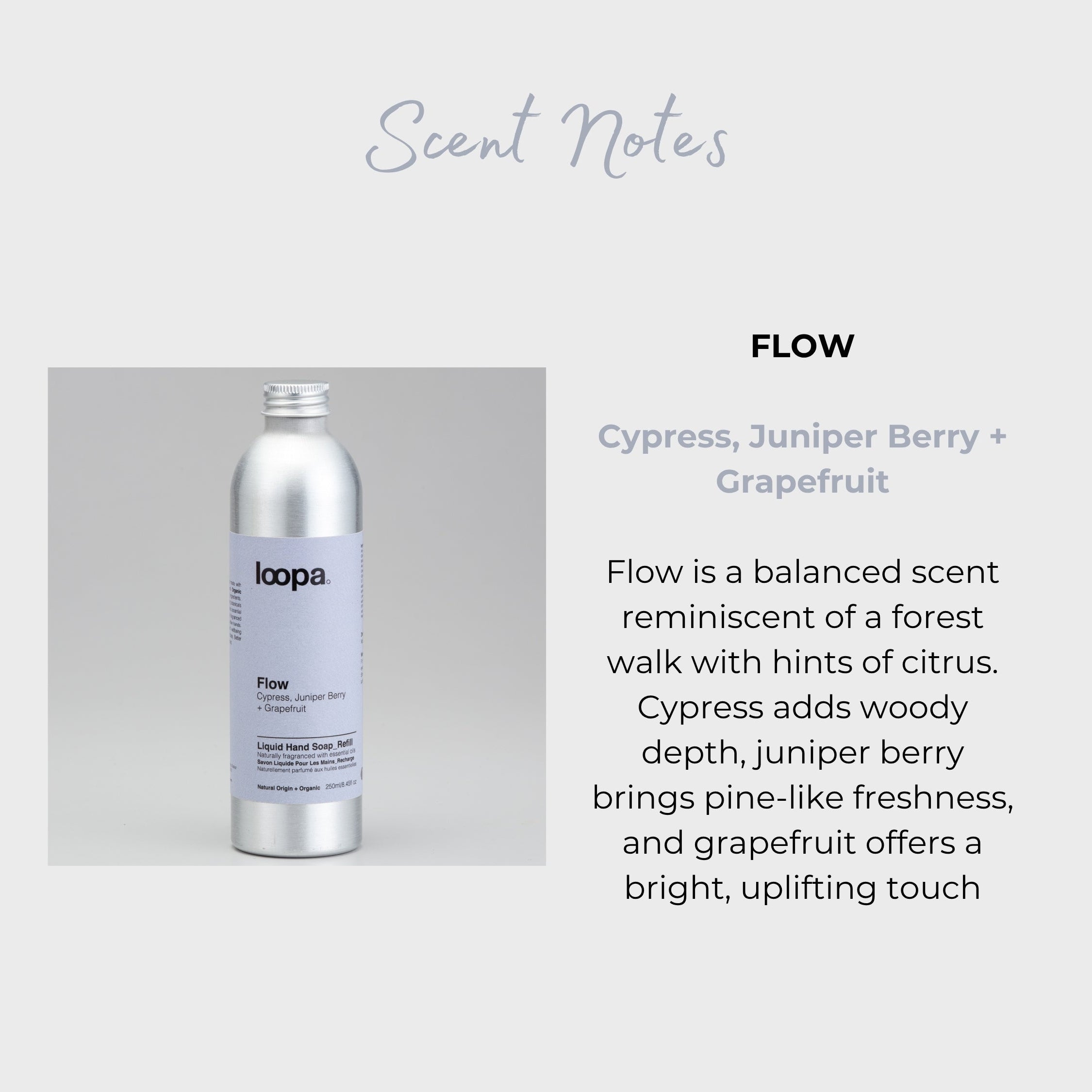 loopa Flow product with description on a light gray background