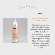 Hand Soap Gift Set, Frosted Glass, Sweet Orange, Clary Sage + Basil (Halo)