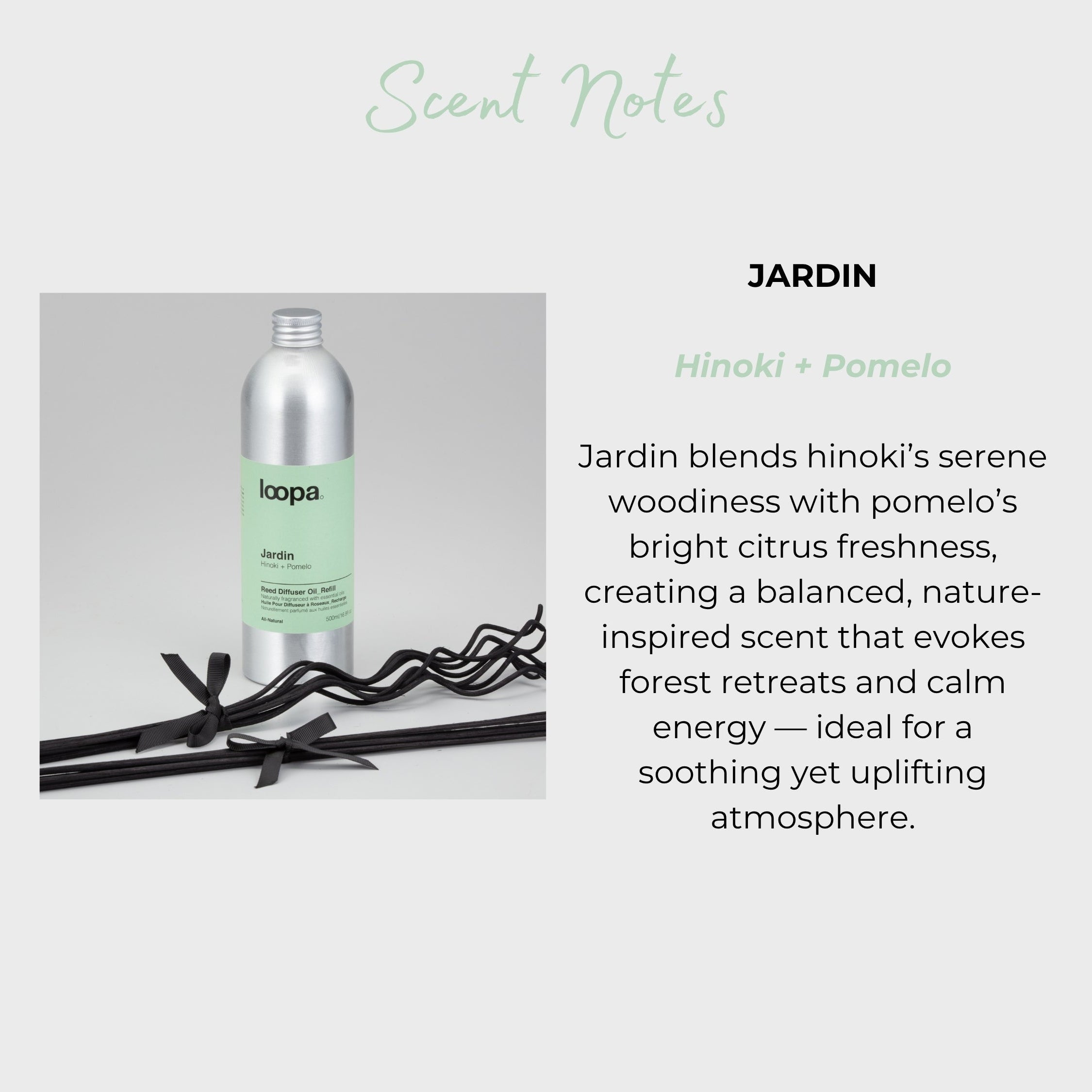 Jardin diffuser refill with mint-green label and arranged black reeds displayed next to scent notes. Emphasises the fresh hinoki and citrus pomelo aroma designed for peaceful, nature-inspired home scenting.