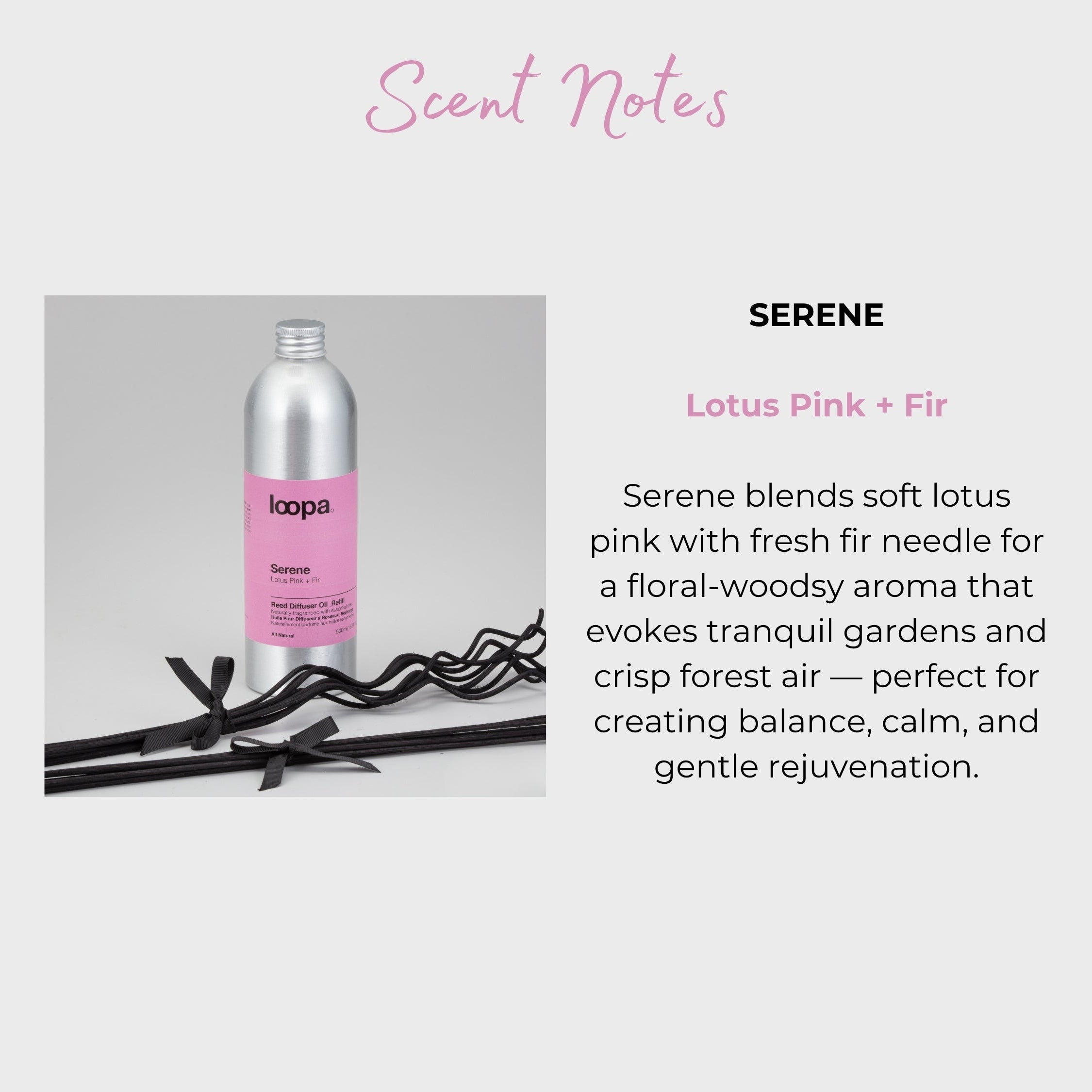 Serene diffuser refill bottle with soft pink label and decorative black reeds positioned beside fragrance description. Features a floral lotus and fir needle blend for tranquil, soothing home aromatherapy.